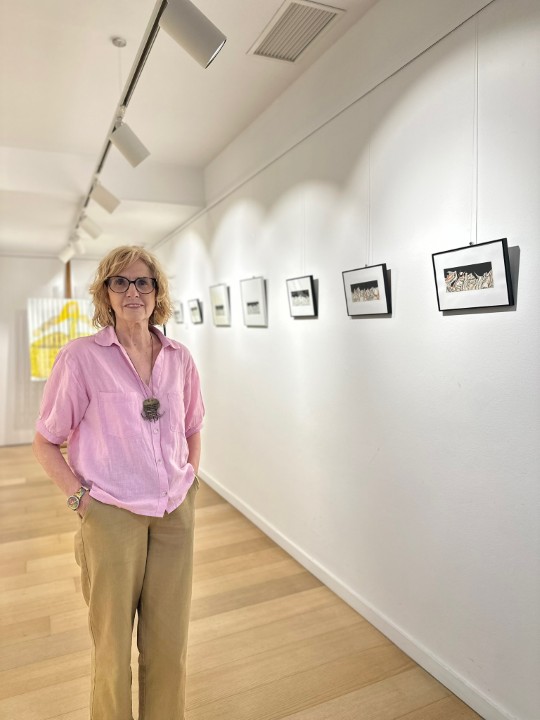 Neus Daura en exposición Líneas y tonos