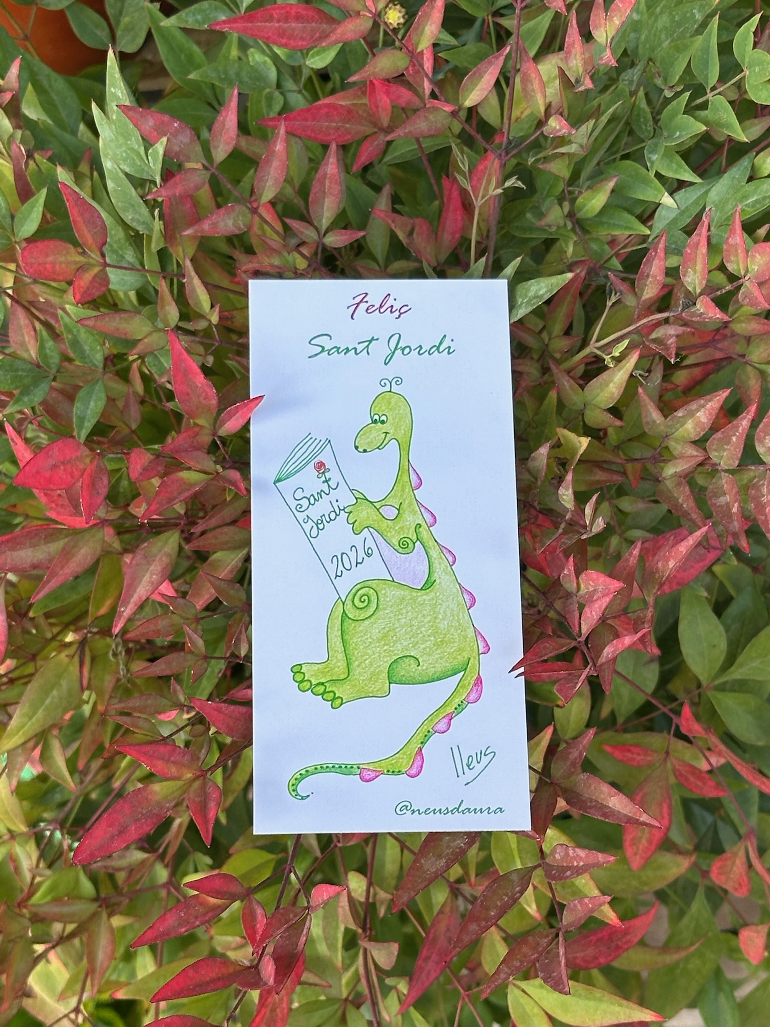 Punto de libro de Sant Jordi 2026 de la artista Neus Daura